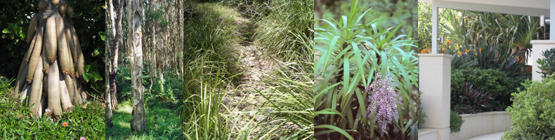 Deverson Landscape Design 01